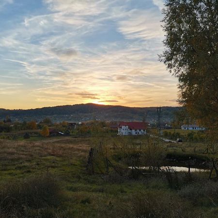 Casa Kotys Appartamento Albestii Paminteni Esterno foto