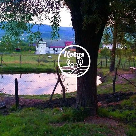 Casa Kotys Appartamento Albestii Paminteni Esterno foto