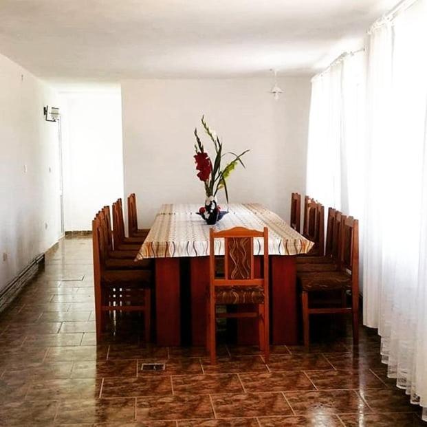 Casa Kotys Appartamento Albestii Paminteni Esterno foto