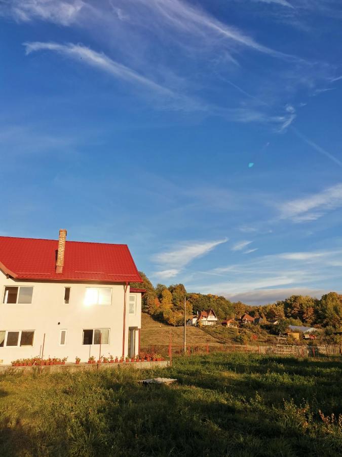 Casa Kotys Appartamento Albestii Paminteni Esterno foto