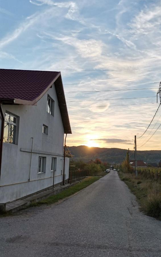 Casa Kotys Appartamento Albestii Paminteni Esterno foto