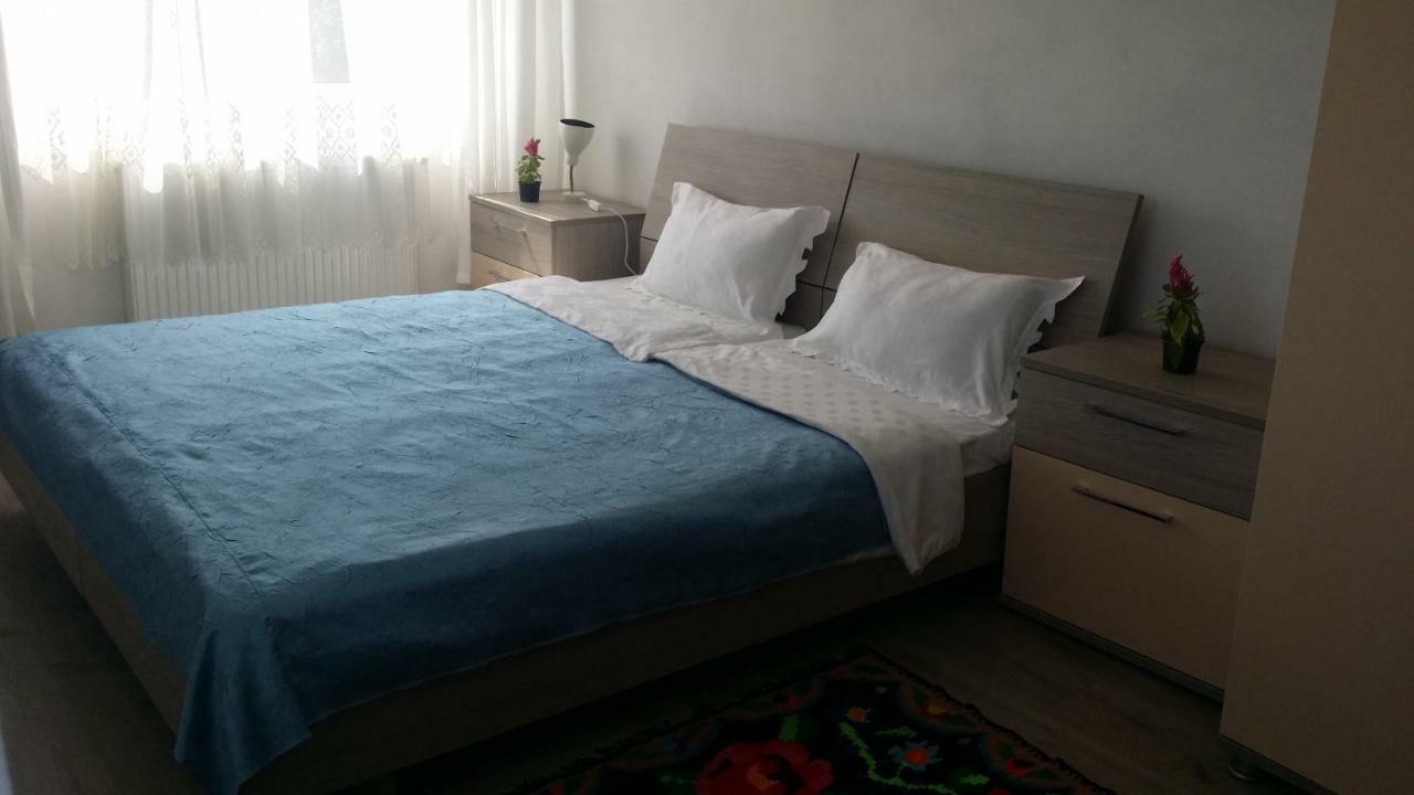 Casa Kotys Appartamento Albestii Paminteni Esterno foto