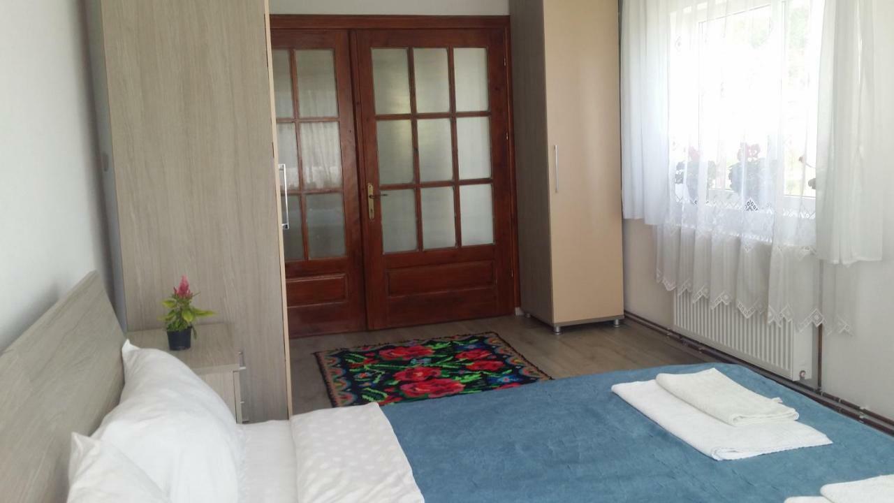 Casa Kotys Appartamento Albestii Paminteni Esterno foto
